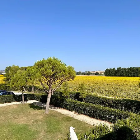 Apartment P079 - Porto Recanati, Bilocale Con Corte In Con Piscina *